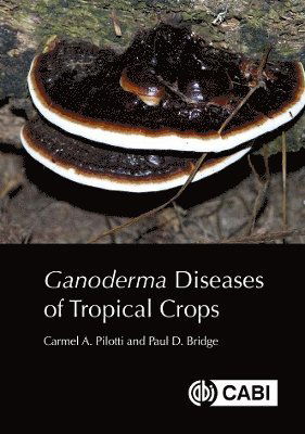 Cover for Pilotti, Dr Carmel A (Pacific Community, Noumea, NewCaledonia, Fiji) · Ganoderma Diseases of Tropical Crops (Hardcover bog) (2023)