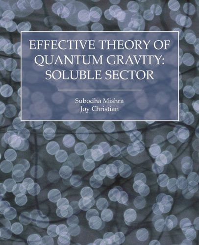 Cover for Joy Christian · Effective Theory of Quantum Gravity: Soluble Sector (Paperback Book) (2011)