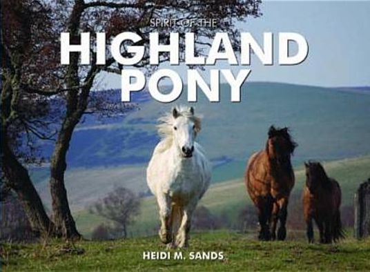 Spirit of the Highland Pony - Heidi M. Sands - Książki - PiXZ Books - 9781906887766 - 8 marca 2010