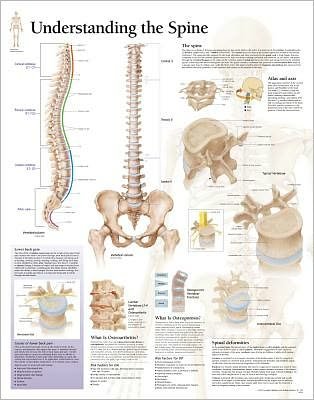 Scientific Publishing · Understanding the Spine Paper Poster (Plakat) (2004)
