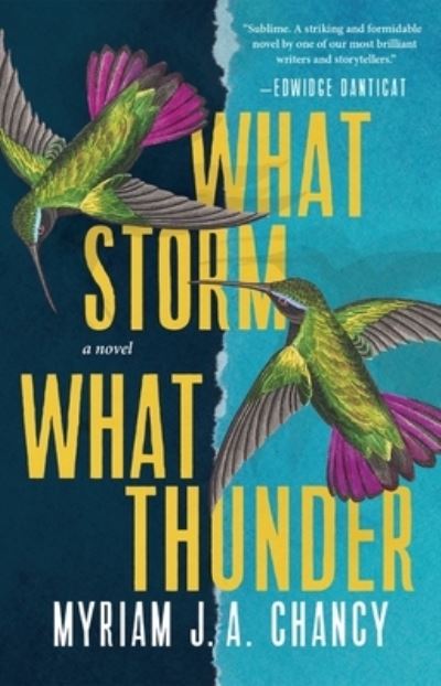 Cover for Myriam J a Chancy · What Storm, What Thunder (Hardcover Book) (2021)