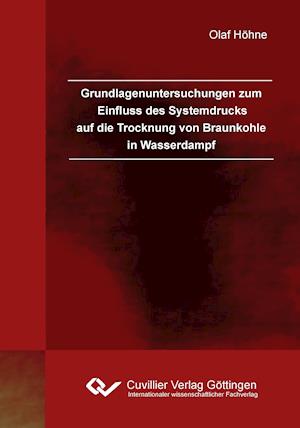 Cover for Olaf Höhne · Grundlagenuntersuchungen zum Einfluss des Systemdrucks auf die Trocknung von Braunkohle in Wasserdampf (Paperback Book) (2012)