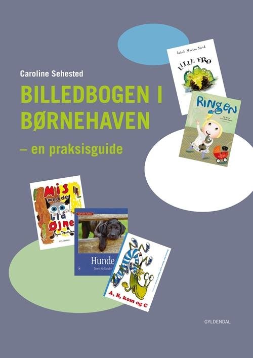 Cover for Caroline Sehested · - en praksisguide: Billedbogen i børnehaven (Hæftet bog) [1. udgave] (2013)