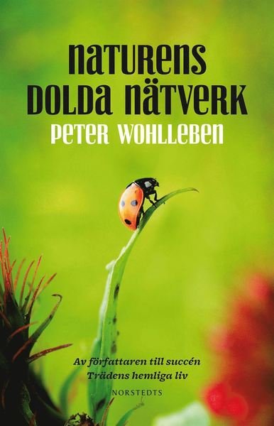 Cover for Peter Wohlleben · Naturens dolda nätverk (Indbundet Bog) (2018)