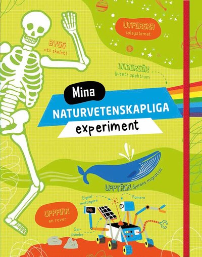 Mina naturvetenskapliga experiment - Darran Stobbart - Książki - Tukan förlag - 9789177836766 - 8 lipca 2019