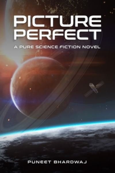Cover for Puneet Bhardwaj · Picture Perfect (Paperback Book) (2021)