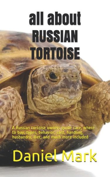 Cover for Daniel Mark · All About Russian Tortoise (Paperback Book) (2020)