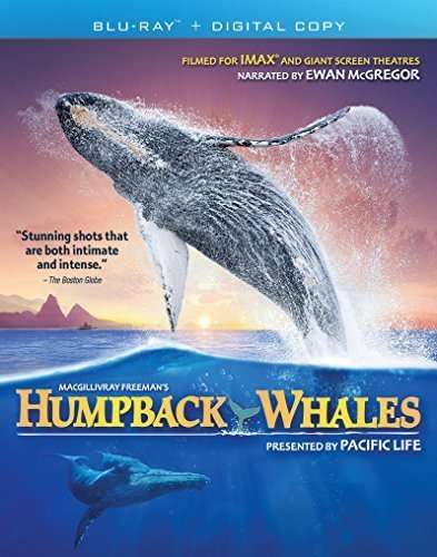 Cover for Imax: Humpback Whales · Humpback Whales (Blu-ray) [Widescreen edition] (2016)