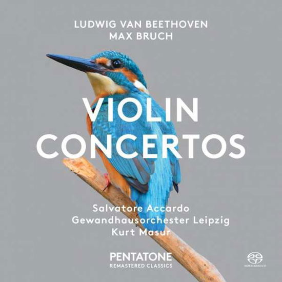 Cover for Accardo / Masur / Gewandhausorchester Leipzig · Beethoven &amp; Bruch: Violinkonzerte (SACDH) (2016)