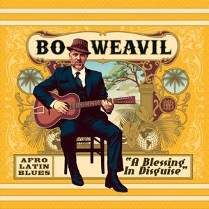 Cover for Bo Weavil · A Blessing In Disguise (CD) (2023)