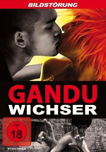 Gandu-wichser - Q - Elokuva - BILDSTOERUNG - 4042564140767 - perjantai 27. kesäkuuta 2014