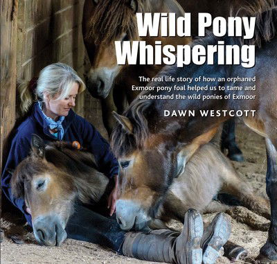 Cover for Dawn Westcott · Wild Pony Whispering: The Real Life Story of How an Orphaned Exmoor Pony Foal Helped Us to to Tame and Understand the Wild Ponies of Exmoor (Hardcover Book) (2015)