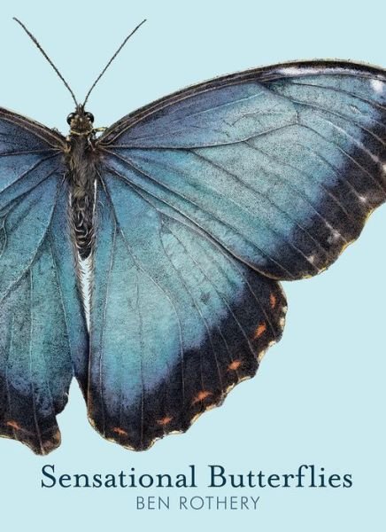 Cover for Ben Rothery · Sensational Butterflies (Hardcover bog) (2024)