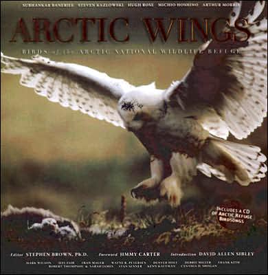 Cover for Stephen Brown · Arctic Wings: Birds of the Arctic National Wildlife Refuge [with Cd] (Paperback Book) (2006)