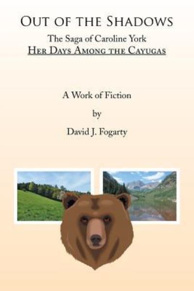 Out of the Shadows - David J. Fogarty - Livros - Xlibris Corp - 9781499067767 - 12 de novembro de 2015