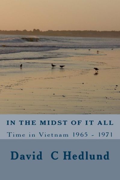 Cover for D C Hedlund · In the Midst of It All: a Time in Vietnam 1965 - 1971 (Paperback Book) (2014)