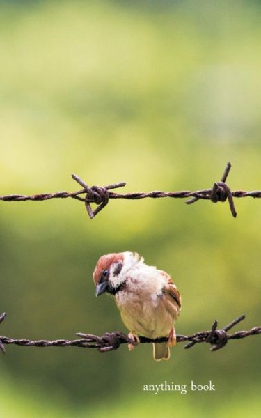 Cover for Salt of the Earth Press · Anything Book: Bird on a Wire (Paperback Book) (2015)