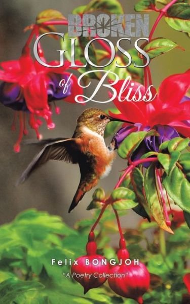Cover for Felix Bongjoh · Broken Gloss of Bliss (Taschenbuch) (2018)
