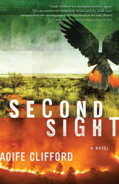 Cover for Aoife Clifford · Second Sight: A Novel (Hardcover Book) (2019)