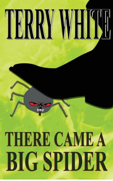 There Came A Big Spider - Terry White - Książki - New Generation Publishing - 9781785078767 - 9 sierpnia 2016