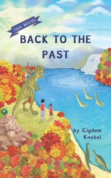Cover for Cigdem Knebel · Back To The Past (Paperback Book) (2019)