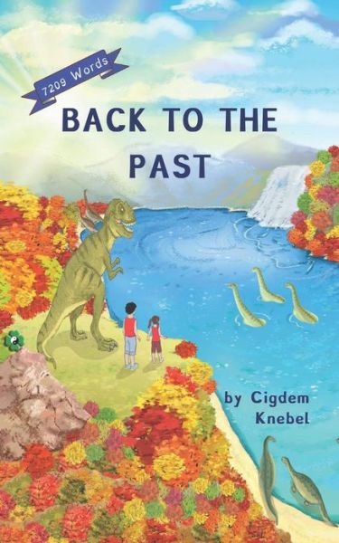 Cover for Cigdem Knebel · Back To The Past (Paperback Bog) (2019)