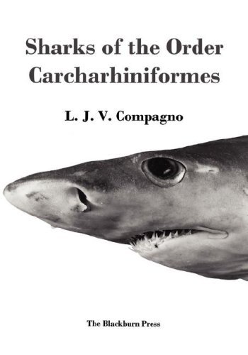 Cover for L. J.v. Compagno · Sharks of the Order Carcharhiniformes (Hardcover Book) (2003)