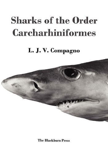 Sharks of the Order Carcharhiniformes - L. J.v. Compagno - Books - The Blackburn Press - 9781930665767 - April 1, 2003
