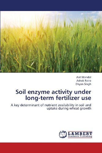 Cover for Dhyan Singh · Soil Enzyme Activity Under Long-term Fertilizer Use: a Key Determinant of Nutrient Availability in Soil and Uptake During Wheat Growth (Paperback Book) (2013)
