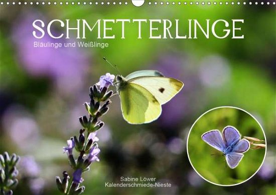 Schmetterlinge, Bläulinge und Wei - Löwer - Boeken -  - 9783671423767 - 