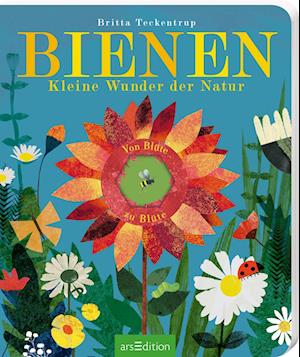 Cover for Maria Höck · Bienen (Kartonbuch) (2022)