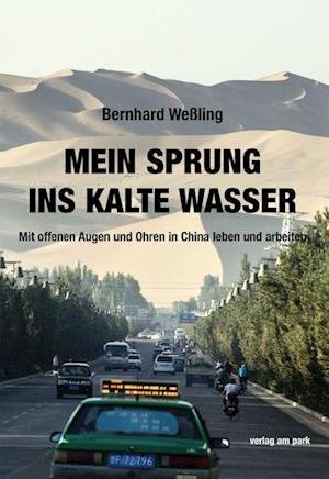 Bernhard Weßling · Mein Sprung ins kalte Wasser (Book) (2024)