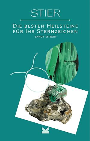 Stier - Sandy Sitron - Books - Laurence King Verlag - 9783962442767 - November 1, 2022