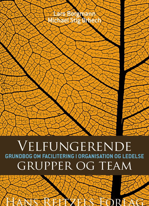 Cover for Michael Stig Ørbech; Lars Borgmann · Velfungerende grupper og team (Sewn Spine Book) [1e uitgave] [Bog] (2013)