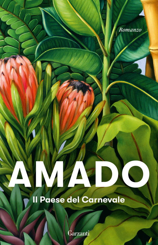Cover for Jorge Amado · Il Paese Del Carnevale (Book)