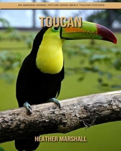 Cover for Heather Marshall · Toucan: An Amazing Animal Picture Book about Toucan for Kids (Pocketbok) (2021)