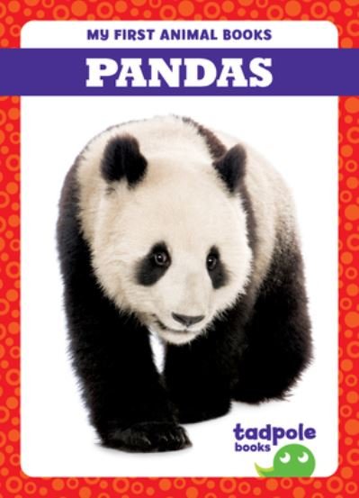 Cover for Deniston · Pandas (Buch) (2023)