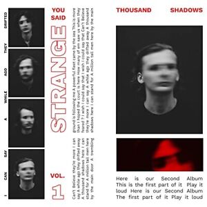 Thousand Shadows Vol.1 - You Said Strange - Musique - EXAG - 3700398724768 - 14 décembre 2021