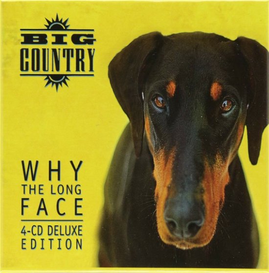 Cover for Big Country · Why The Long Face (CD) [Japan Import edition] (2018)