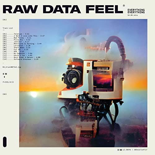 Raw Data Feel (Clear Vinyl) - Everything Everything - Music - INFINITY INDUSTRIES LLP - 5056167168768 - May 20, 2022