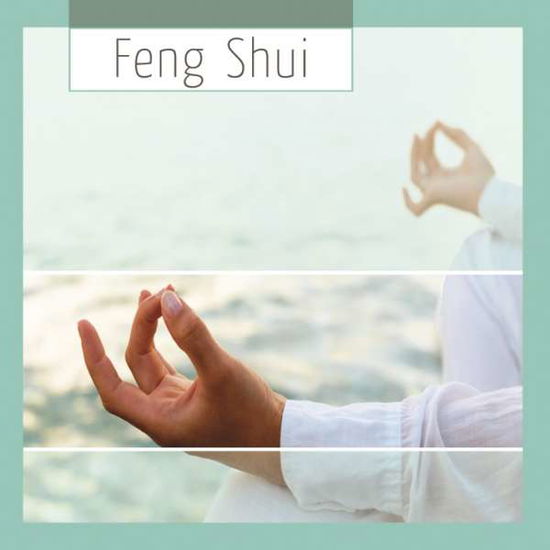 Cover for Feng Shui · Feng Shui--fmg (CD) (2009)