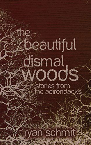 Cover for Ryan Schmit · The Beautiful Dismal Woods: Short Stories from the Adirondacks (Paperback Book) (2010)