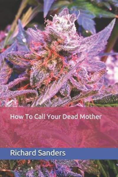 Cover for Richard Sanders · How To Call Your Dead Mother (Paperback Book) (2019)