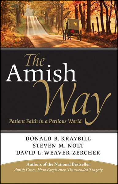 Cover for Donald B. Kraybill · The Amish Way: Patient Faith in a Perilous World (Paperback Book) (2012)