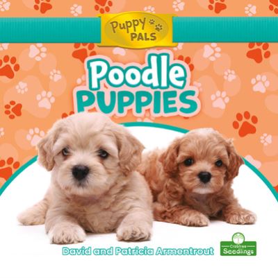 Cover for David Armentrout · Poodle Puppies (Hardcover Book) (2021)