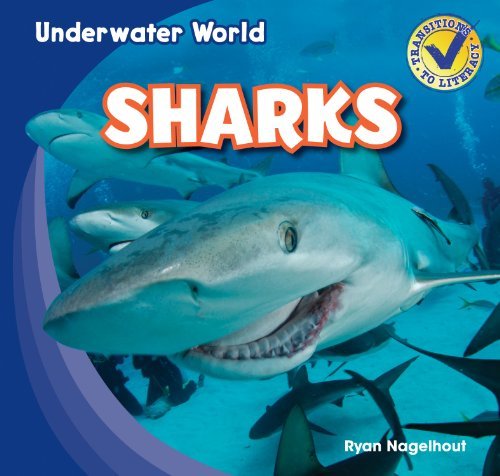 Sharks (Underwater World) - Ryan Nagelhout - Bøker - Gareth Stevens Publishing - 9781433985768 - 16. januar 2013