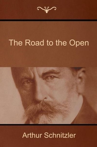 Cover for Arthur Schnitzler · The Road to the Open (Paperback Bog) (2014)