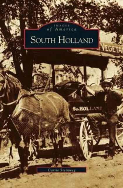 Cover for Carrie Elizabeth Steinweg · South Holland (Hardcover Book) (2003)