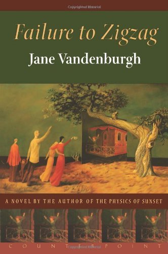 Cover for Jane Vandenburgh · Failure to Zigzag (Paperback Book) [Counterpoint Pbk. Ed edition] (2000)