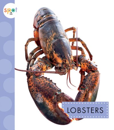 Cover for Mari C Schuh · Lobsters (Paperback Book) (2021)